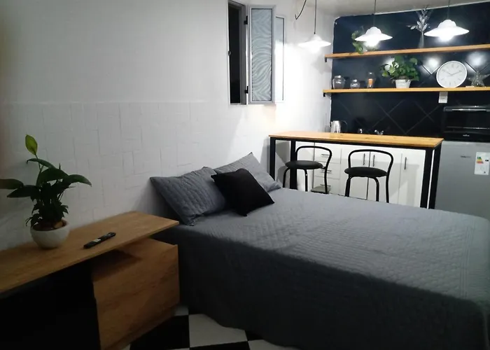 Departamento Monoambiente Belgrano R